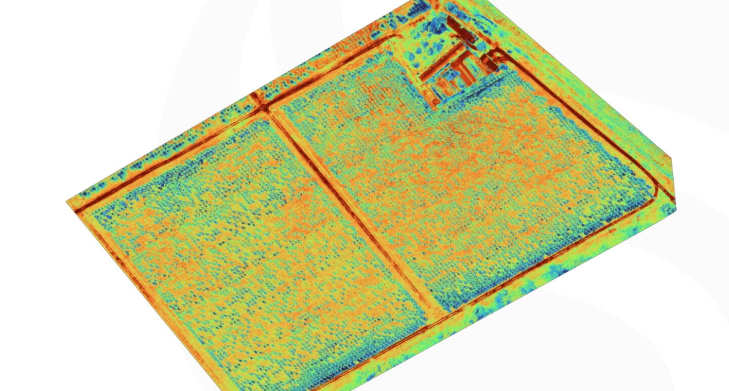 Wingtra drone analyse image